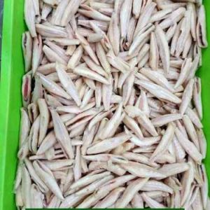 MS ANCHOVY DRESSED 600G