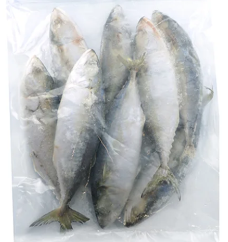 MSF INDIAN MACKEREL HL 600G