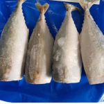 MC INDIAN MACKERAL DRESSED 600G