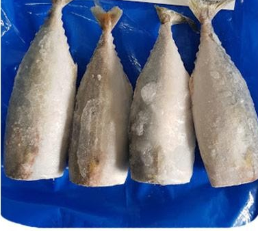 MC INDIAN MACKERAL DRESSED 600G